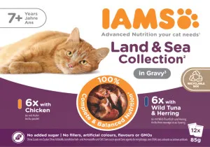 IAMS Senior Land & Sea Collection in Gravy