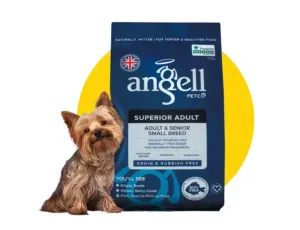 Angell PetCo Superior Adult Small Breed