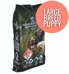 Brigadier's Choice Puppy Large Breed Salmon & Potato
