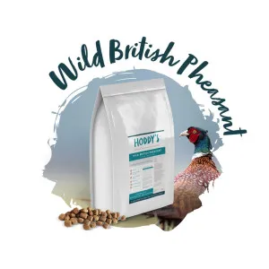 Hoddy's Wild British Pheasant