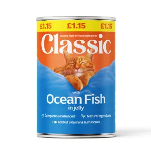 Classic With Ocean Fish in Jelly