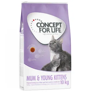 Concept for Life Mum & Young Kittens