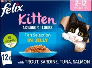 Felix As Good As it Looks Kitten Fish Selection in Jelly