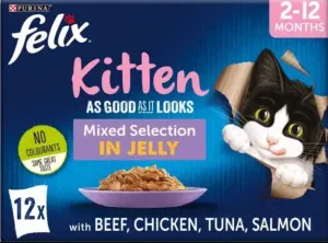 Felix As Good As it Looks Kitten Mixed Selection in Jelly