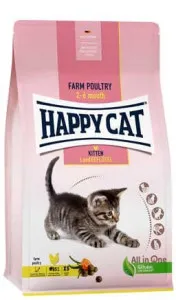 Happy Cat Kitten Chicken