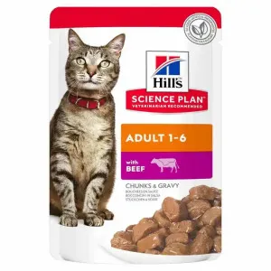Hill's Adult with Beef Chunks & Gravy