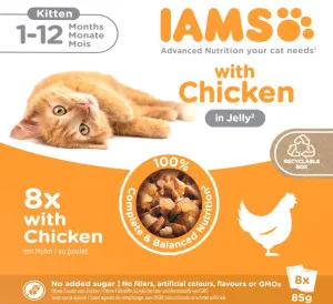 IAMS Wet Food Kitten with Chicken in Jelly