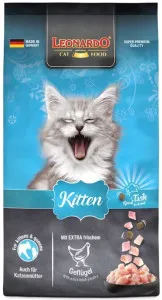 Leonardo Kitten