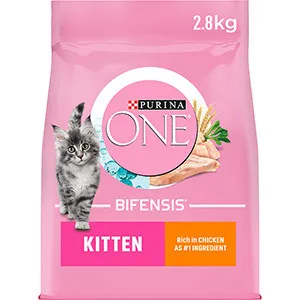 Purina ONE Kitten