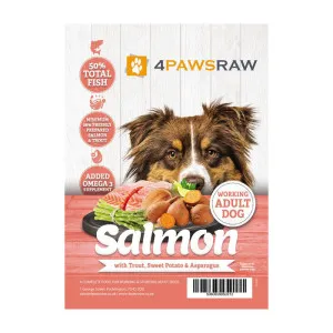 4PAWSRAW Grain Free Salmon with Trout & Asparagus