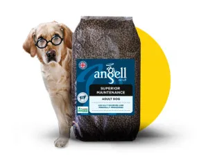 Angell PetCo Superior Maintenance