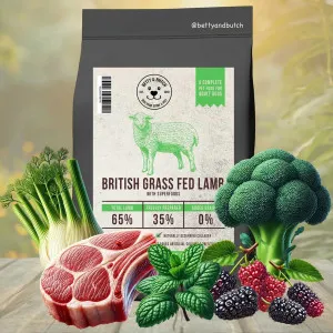 BETTY & BUTCH Superfood Adult Lamb With Vegetables