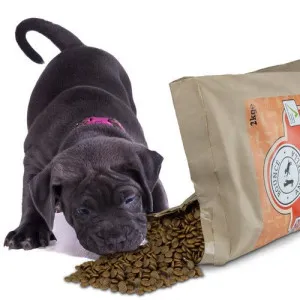 Bounce & Bella Salmon Large Breed Puppy