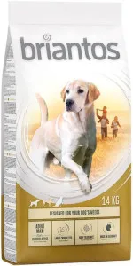 Briantos Maxi Adult