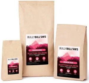 BULLYBILLOWS Scottish Salmon Super Food Senior