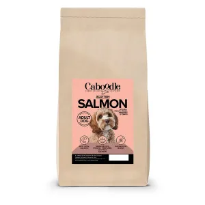 Caboodle Superfood Crunch Scottish Salmon