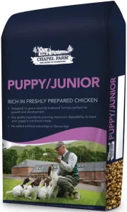 Chapel Farm Puppy Junior