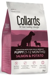 Collards Puppy Salmon & Potato