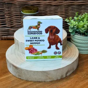 Dachshund Superfood Lamb and Sweet Potato Hotpot