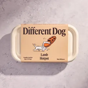 Different Dog Lamb Hotpot