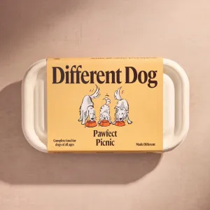 Different Dog Pawfect Picnic