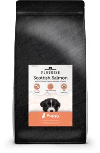 Flourish Scottish Salmon Puppy