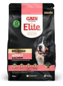 GAIN Elite Big Dogs Adult Salmon