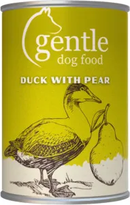 Gentle Duck with Pear