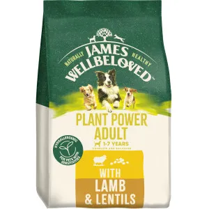 James Wellbeloved Plant Power Adult Lamb & Lentils