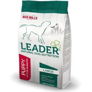 Leader Puppy Large Breed