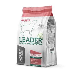 Leader Sensitive Salmon Adult Large Breed