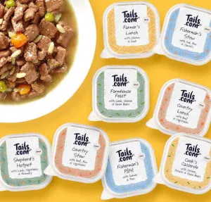 Tails Cook's Casserole with Chicken, Potato & Green Beans