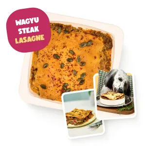 Years Chefs Collection Wagyu Steak Lasagne